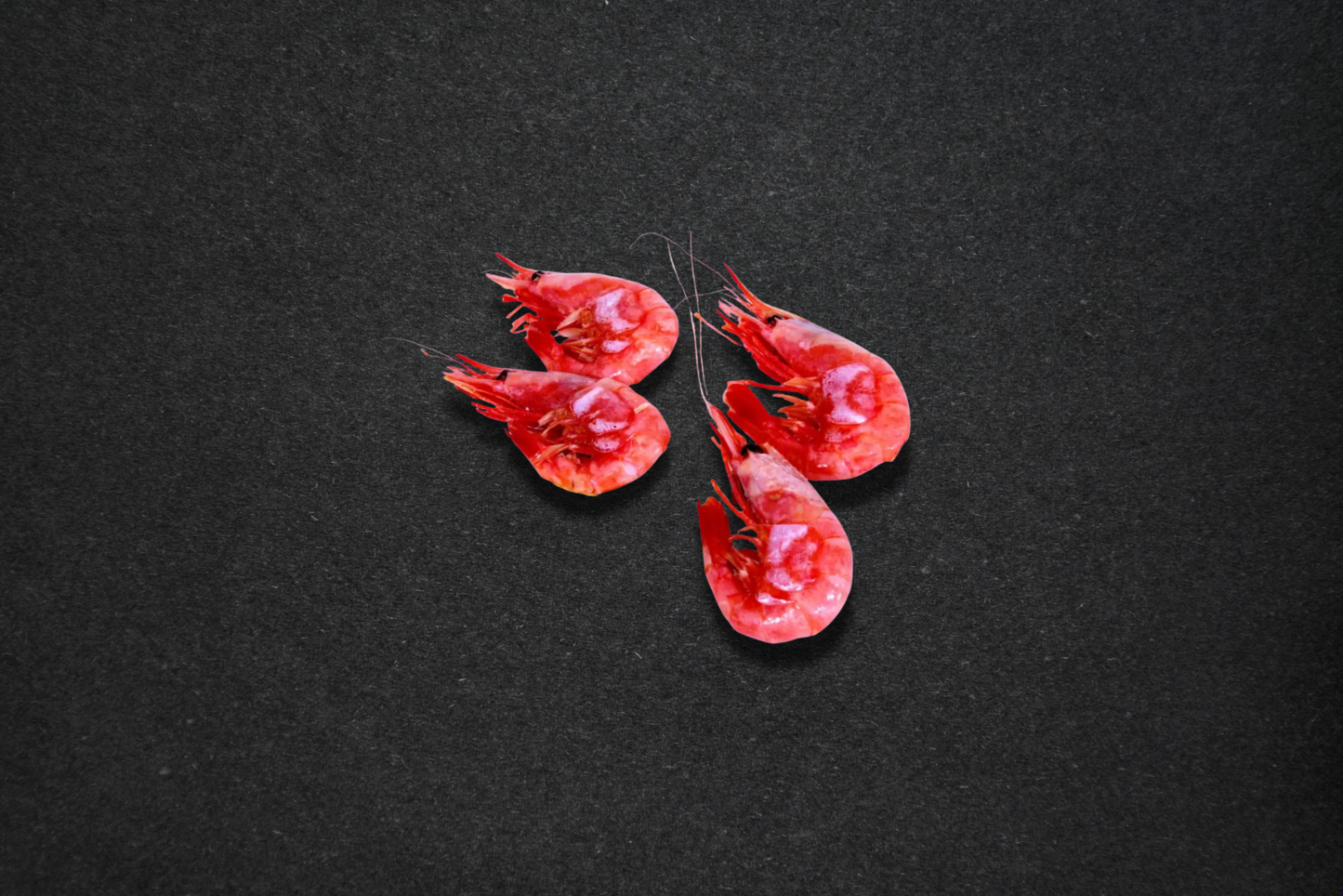 Grønlandsreker 50/70