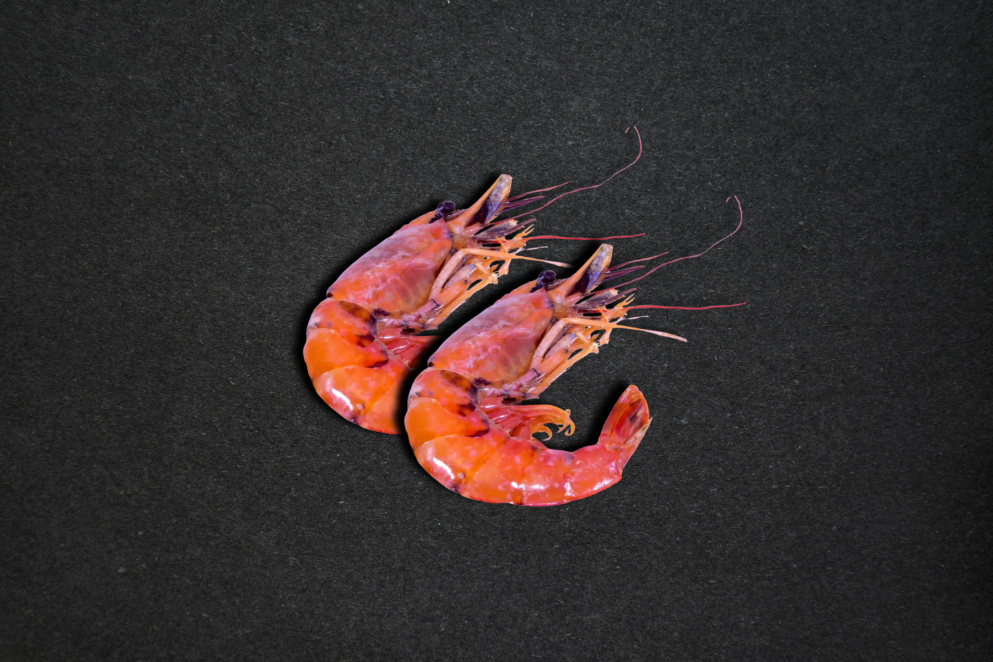 Argentinske kongereker